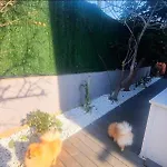 Escapade Cotiere A 5 Min Des Plages * Cagnes-sur-Mer